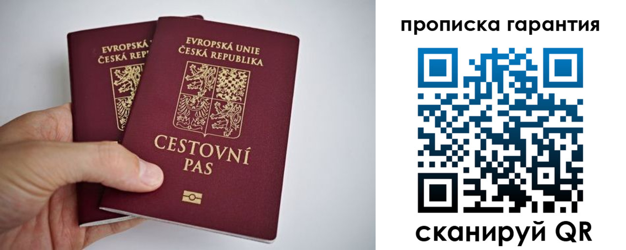 прописка в Талдоме